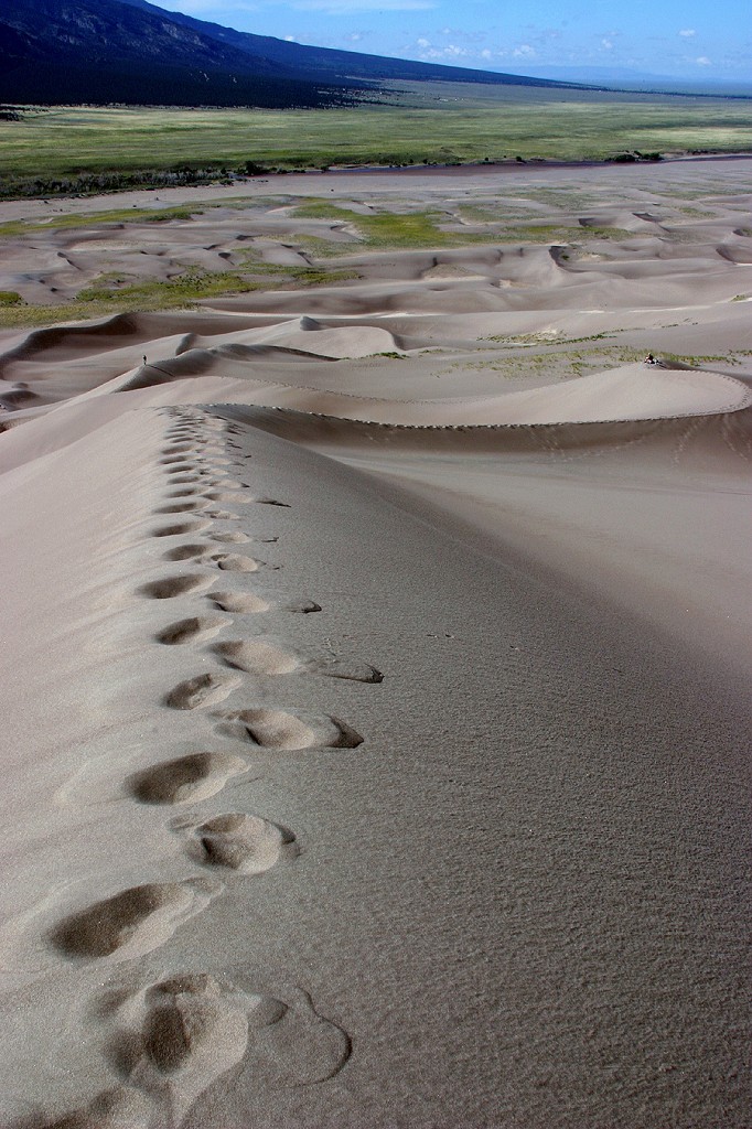 Ridge Steps